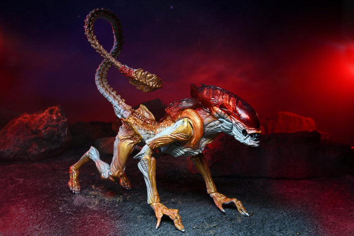 Aliens Ultimate 7" Kenner Tribute Edition Action Figure - Panther Alien