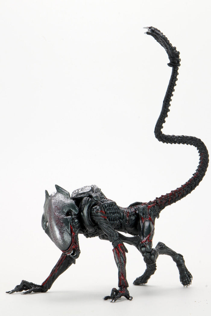 Aliens Ultimate 7" Kenner Tribute Edition Action Figure - Cougar Alien