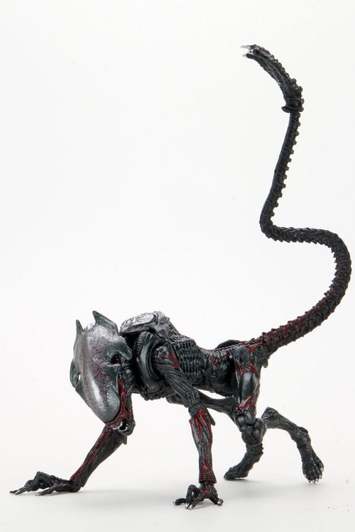 Aliens Ultimate 7" Kenner Tribute Edition Action Figure - Cougar Alien