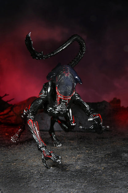 Aliens Ultimate 7" Kenner Tribute Edition Action Figure - Cougar Alien