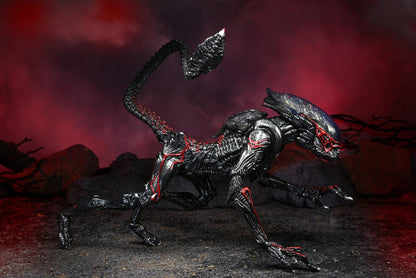 Aliens Ultimate 7" Kenner Tribute Edition Action Figure - Cougar Alien