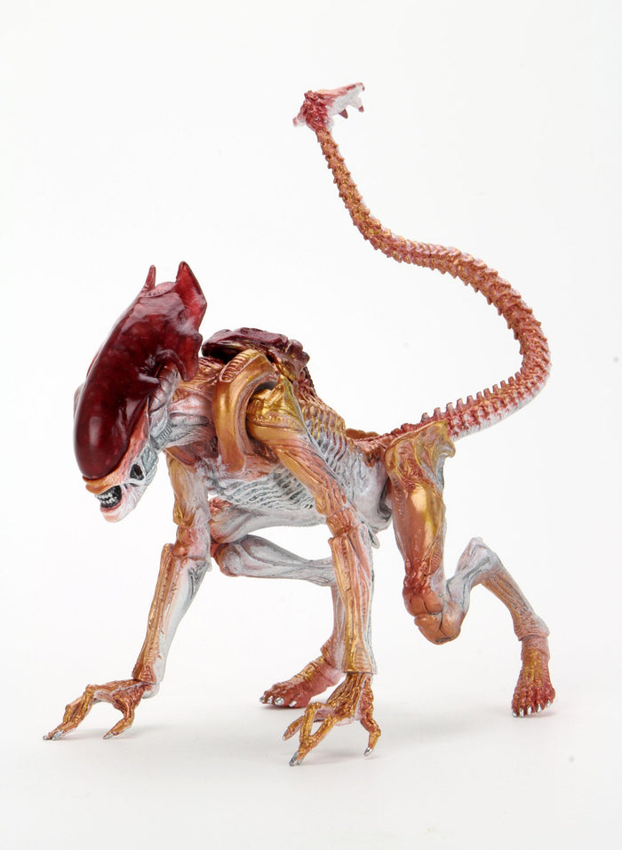 Aliens Ultimate 7" Kenner Tribute Edition Action Figure - Panther Alien