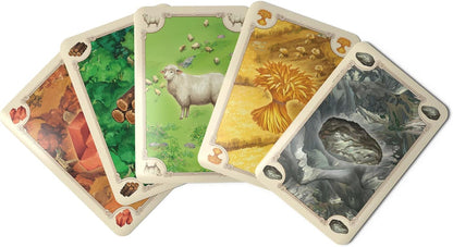 Catan 6th Edition Strategy Board Game (2025)