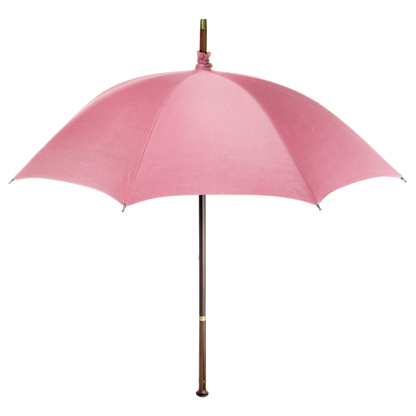 Harry Potter Wand Replica - Hagrid Umbrella & Wand