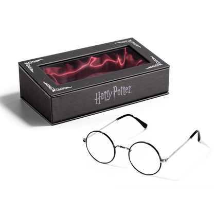 Harry Potter's Glasses