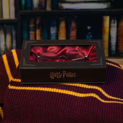 Harry Potter's Glasses