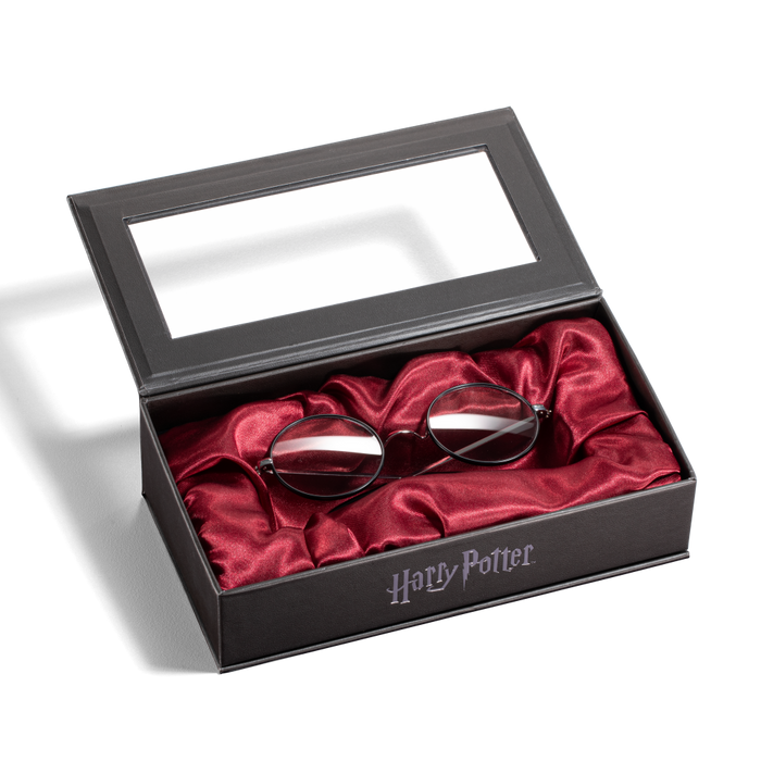 Harry Potter's Glasses