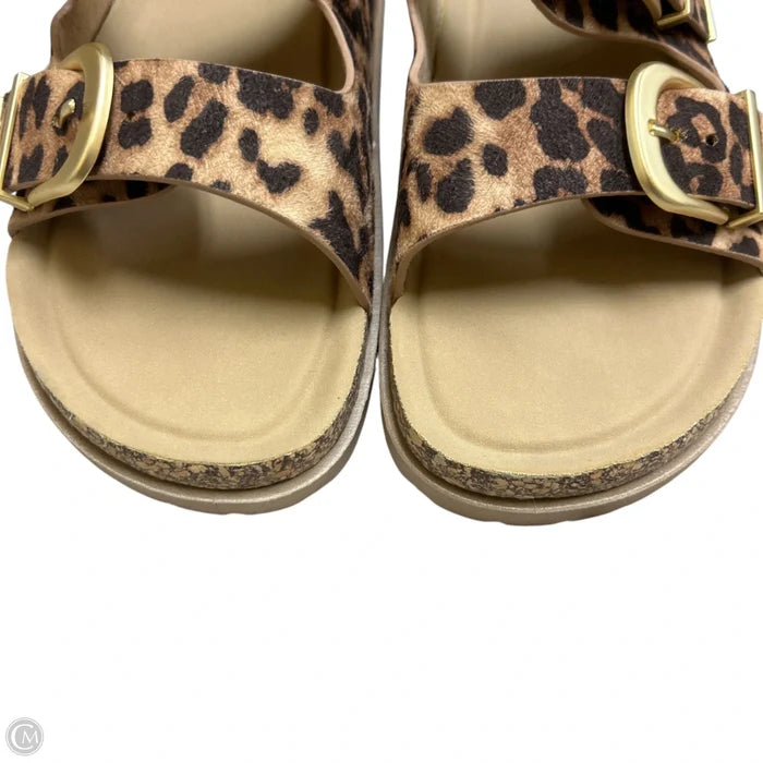 Sandals Flats By Empty Entire In Animal Print, Size: 11
