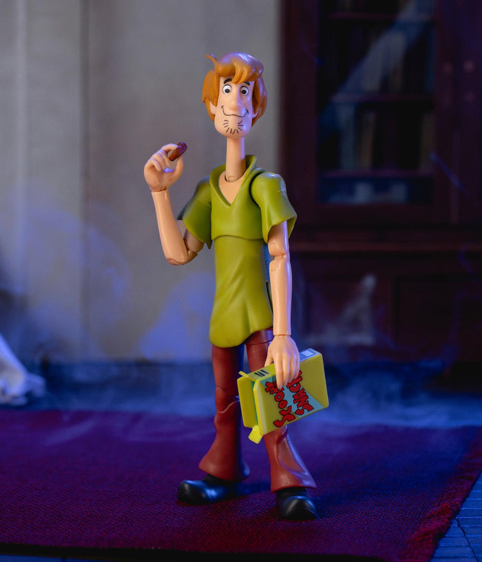 Scooby Doo 6 Inch Action Figure Wave 1 - Shaggy