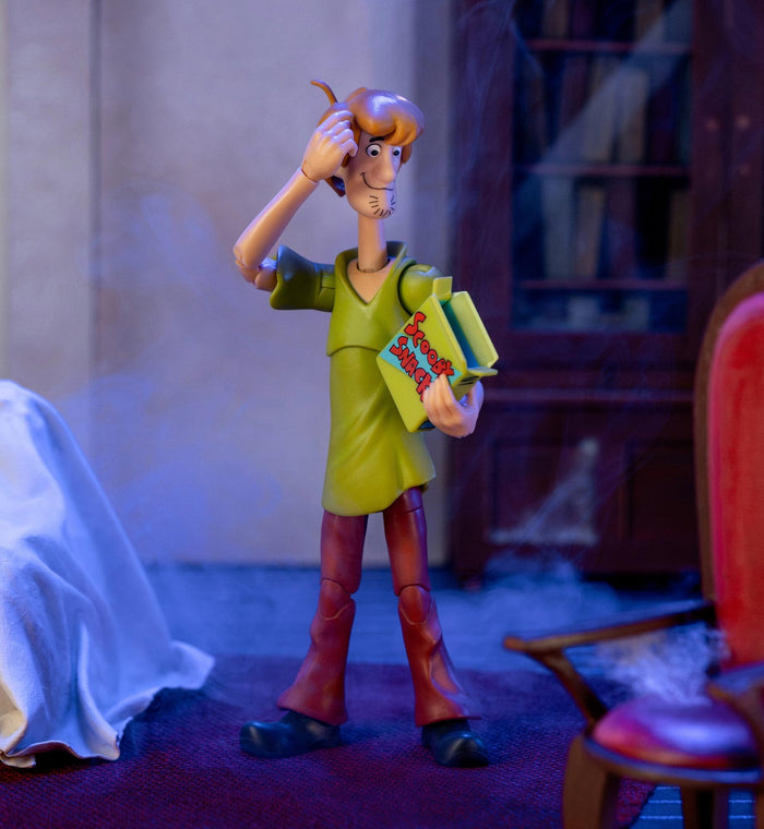 Scooby Doo 6 Inch Action Figure Wave 1 - Shaggy